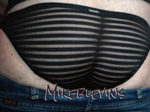 Mikeblevins