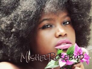 MishelRosebud Spicy Blogs