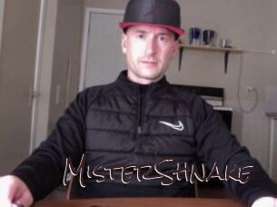 MisterShnake