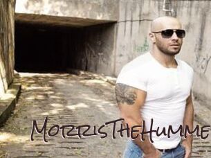 MorrisTheHumme Spicy Blogs