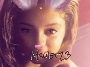 Mswet23