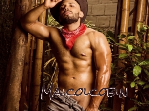 maicolcobin Spicy Blogs