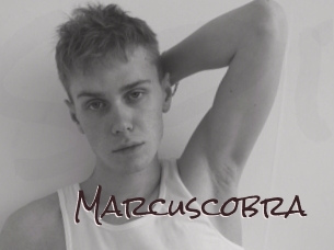 marcuscobra Spicy Blogs