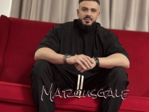 marcusgale Spicy Blogs