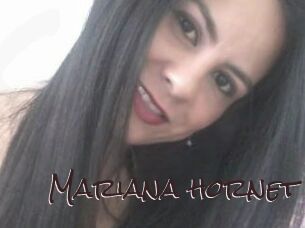 Mariana_hornet