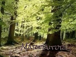 Martiaitor