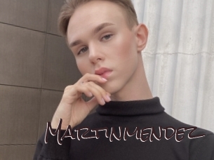 martinmendez Spicy Blogs