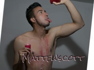 mattewscott Spicy Blogs