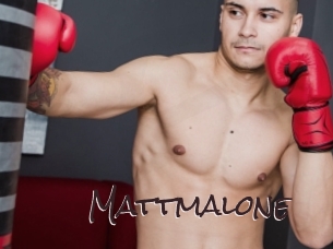 mattmalone Spicy Blogs