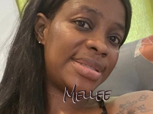 mellee Spicy Blogs