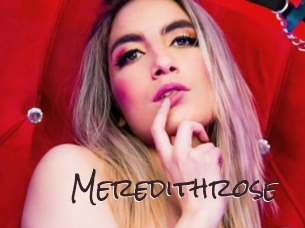 meredithrose Spicy Blogs