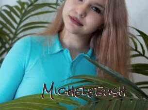 Michelebush