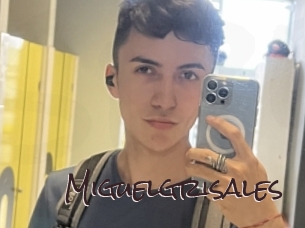 miguelgrisales Spicy Blogs