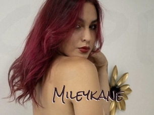 mileykane Spicy Blogs