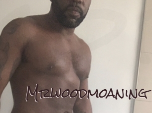mrwoodmoaning Spicy Blogs