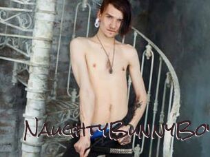 NaughtyBunnyBoy
