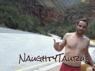 NaughtyTaurus Spicy Blogs