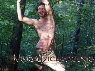 NinjaDickstroyr