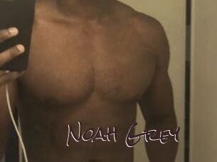 Noah_Grey