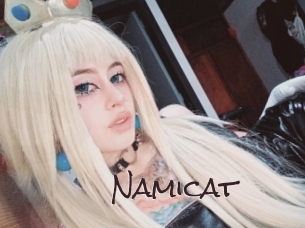 namicat Spicy Blogs