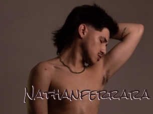 nathanferrara Spicy Blogs