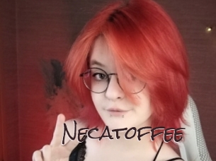 necatoffee Spicy Blogs