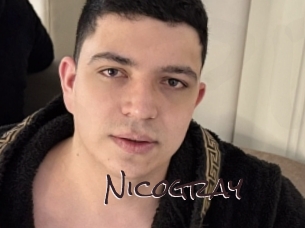 nicogray Spicy Blogs