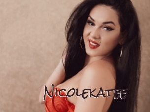 nicolekatee Spicy Blogs