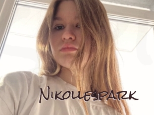 nikollespark Spicy Blogs