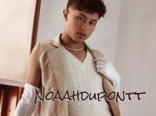 noaahdupontt Spicy Blogs