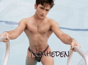 Noaheden