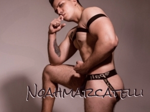 noahmarcatelli Spicy Blogs
