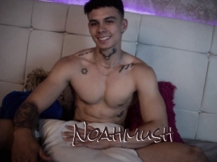 noahmush Spicy Blogs