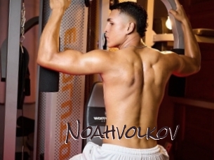 noahvolkov Spicy Blogs