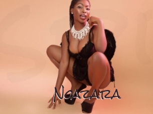 noazara Spicy Blogs