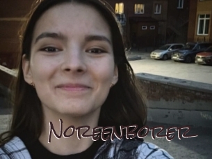 Noreenborer
