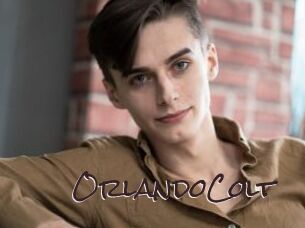 OrlandoColt Spicy Blogs