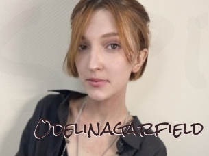 Odelinagarfield