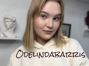 odelindabarris Spicy Blogs