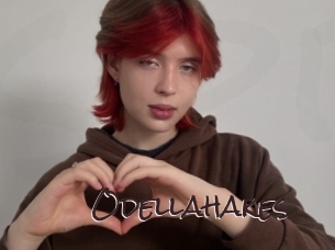 Odellahakes