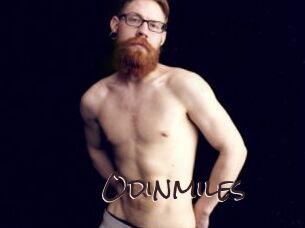 odinmiles Spicy Blogs