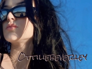 ottiliebeverley Spicy Blogs