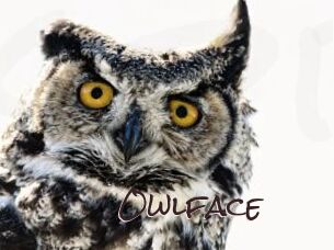 Owlface