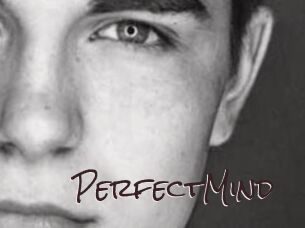 PerfectMind