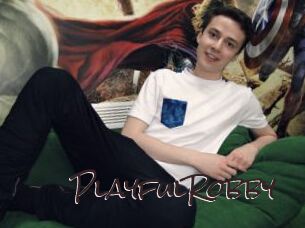 PlayfulRobby