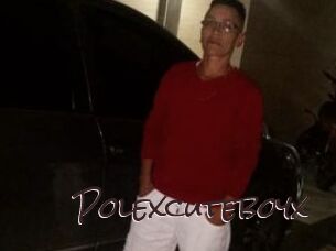 Polexcuteboyx