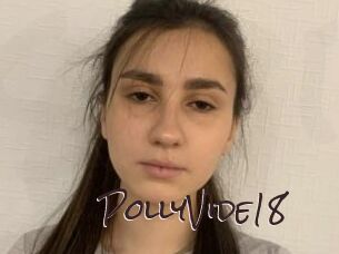PollyVide18