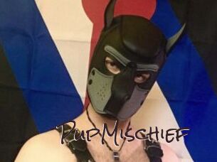 PupMischief