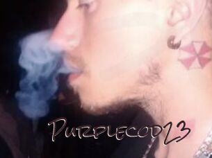 Purplecod23
