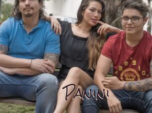 Panini